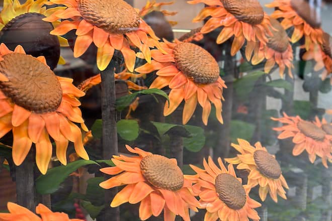 Tournesols Guillaume Bichet