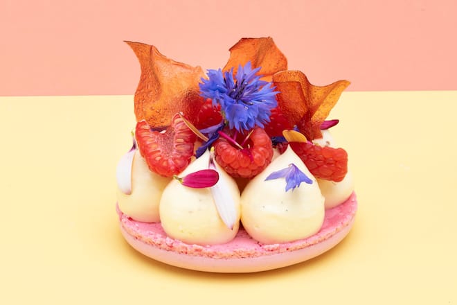 Mit Blüten dekoriertes Macaron auf zweifarbig geteiltem Hintergrund