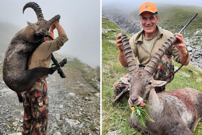 Adler Ried Muotathal Steinbockpfeffer