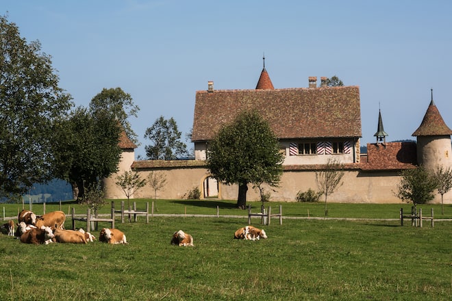 Château de Raymontpierre by The Living Circle, Hotel in Vermes, JUZ