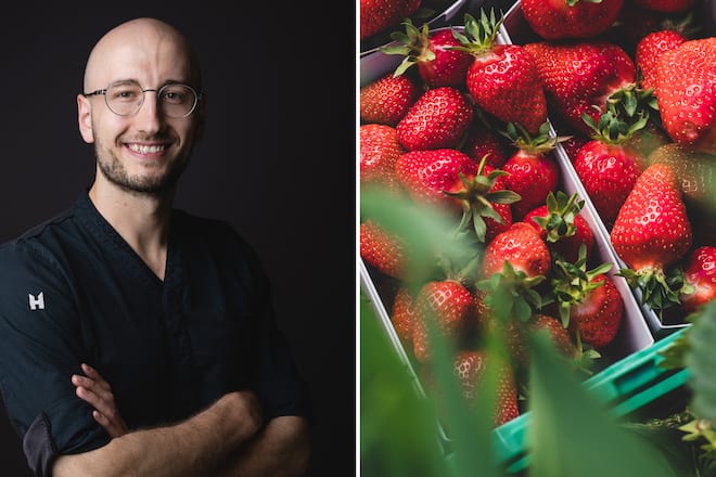 Jonathan Pichler Erdbeeren