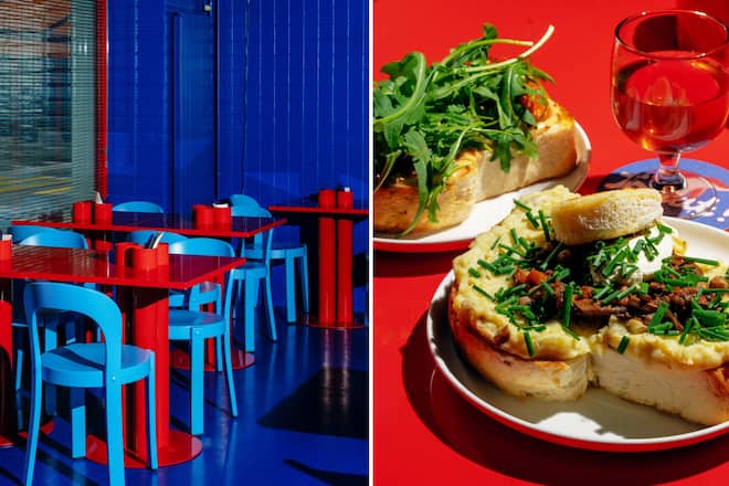 Roter Delfin Zürich