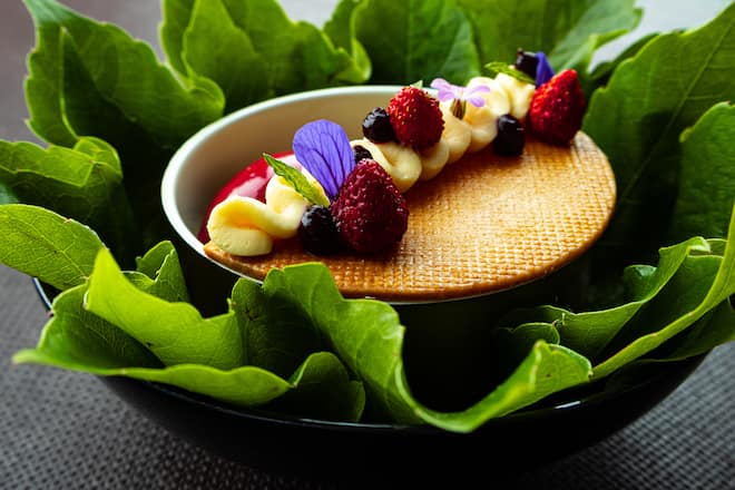 Cheesecake mit Kirschsorbet