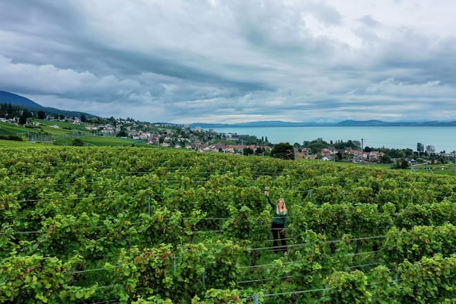 Domaine de Chambleau