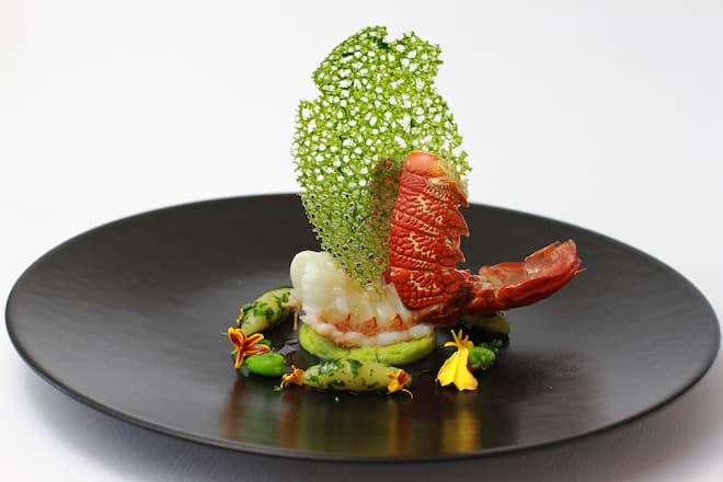 -Südafrikanischer Rock Lobster auf Fèvespueree und Bärlauch