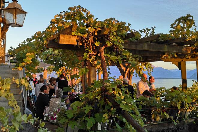 Domaine du Burignon Ville de Lausanne