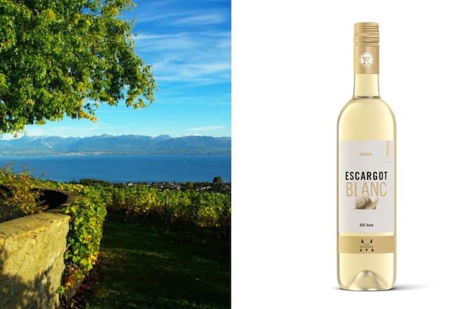 Domaine Bellevue Caves Munier