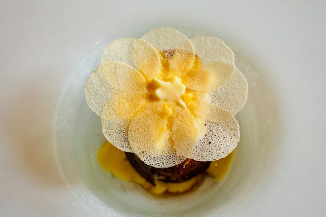 In English Please?! Marc Checkley Illario Colombo