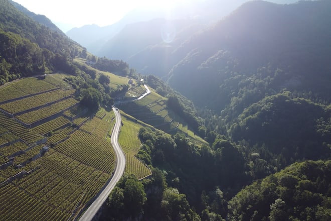 Domaine des Afforêts