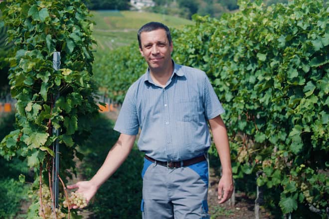 Cave de Rossillonnes