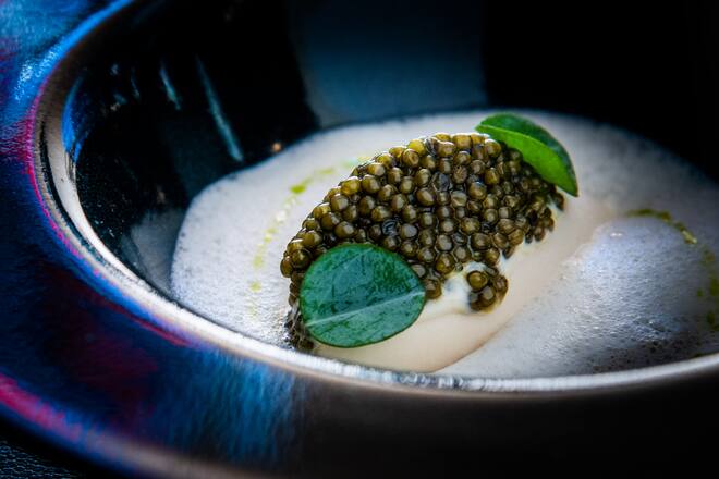 Juan Amador, Mike Wehrle 2019