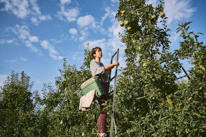 Bernadette Lisi Lisbach Restaurant Neue Blumenau in Lömmenschwil