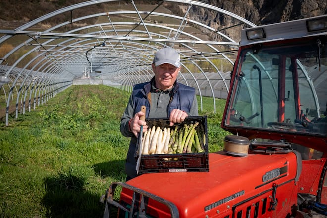 Maurice Dussex asperges Saillon Léguriviera