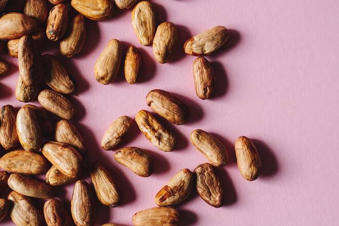 La Flor Schokolade von Laura Schaelchli Zuerich