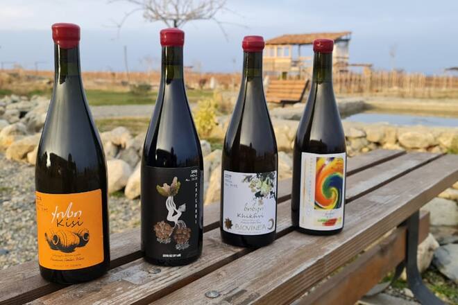 Les vins géorgiens de la vaudoise Isabelle