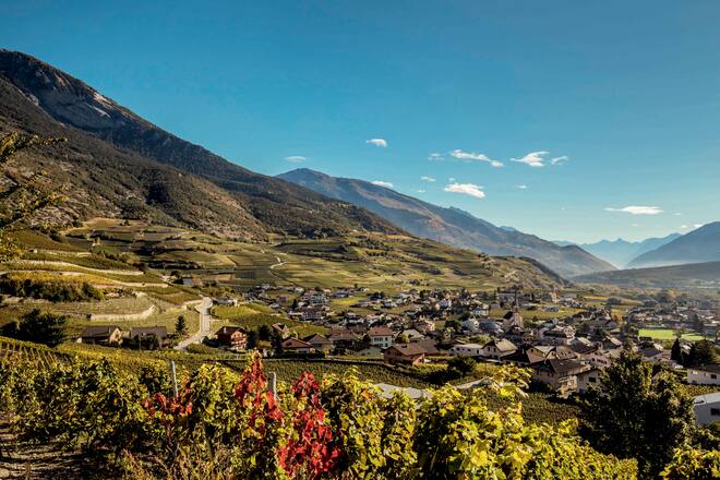 Salgesch Diego Mathier Vin Valais