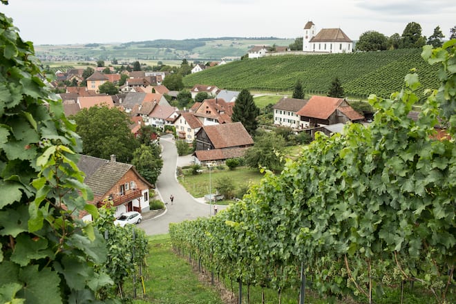 Woeschwiiber in Wilchingen (SH), Dorfansicht