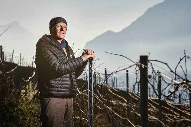 Portrait dans ces vignes à Epesses