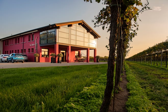 Der Neubau der Kellerei mit Showroom, Büros und Vergärungskeller