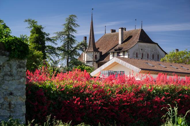 Waschplatz mit Pflanzenreinigungsanlage