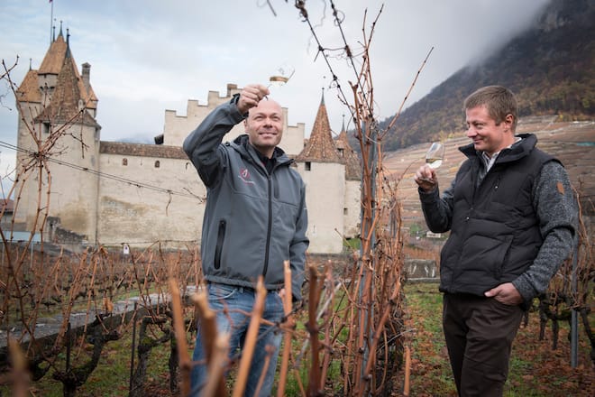 Les vignerons Alain et Marc Emery sur leur domaine à Aigle