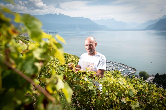 SwissWine François Grognuz Cave des Rois Villeneuve Lavaux