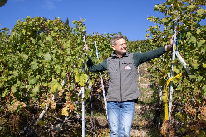 Union Vinicole de Cully