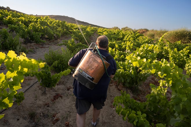 Wein Region Rioja Familie Serrano 2022