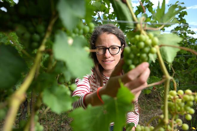 Camille Cretegny Domaine de La Devinière