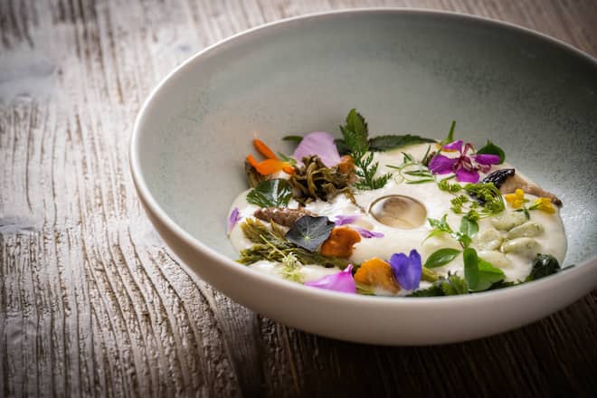 Diese Chefs holen die Alpen auf den Teller Paolo Casanova 2023: MINESTRONE DI BOSCO Knollensellerie-Schaum, ORMA Corvatsch Whisky, Knoblauch und Moschusgelee, fermentierte Tannenzapfen, Flechten, Pilze, Wurzeln, Ricotta und Lärchen âGnocchettiâ...und dann, was der Wald uns gibtâ¦Pilzbrühe oder Hirschbrühe