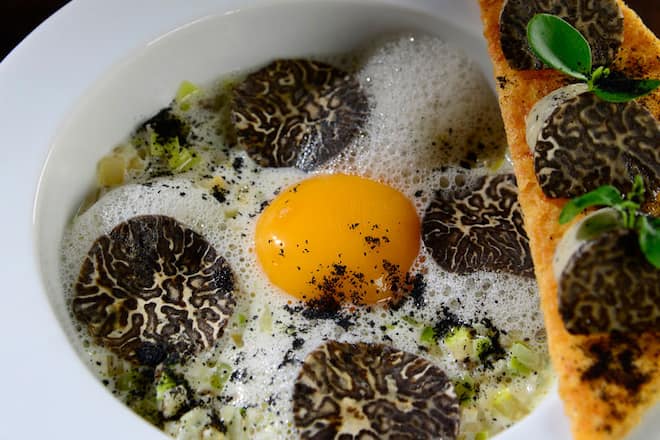 Le cardon, l’œuf et la truffe