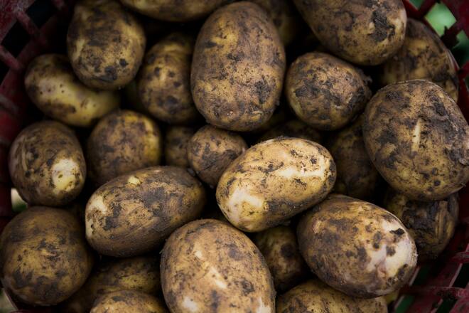 Vollmond Frites Kadi