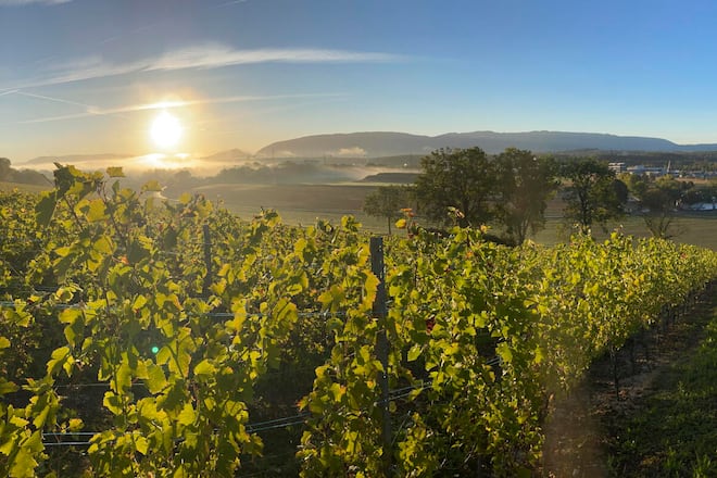 GE ChAC/teau des Bois Nicolas Seiler, Satigny, GE