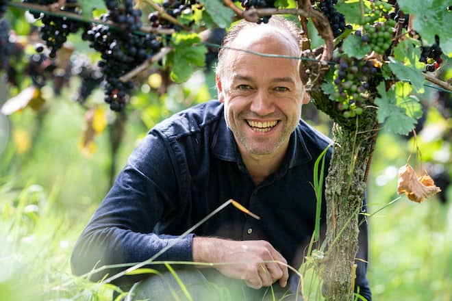 Gregory Rohmer bei Besson Strasser Weinbau