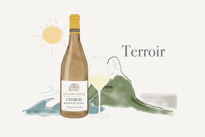 Edvin uncorked Terroir