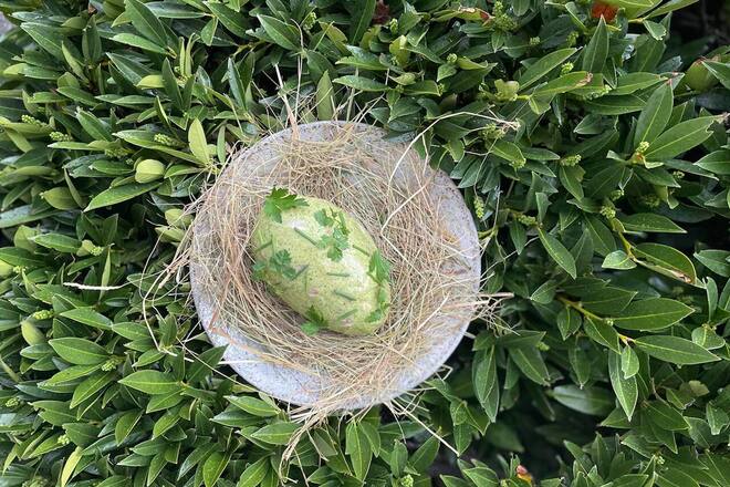 Oeuf en persillade Fabien Pairon