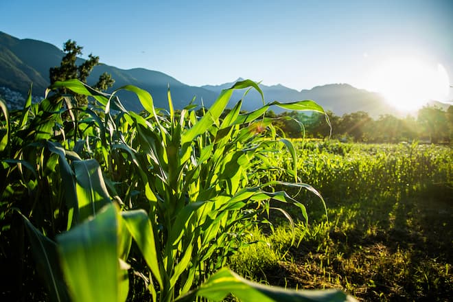 Castello Del Sole Hotel Des Jahres 2021