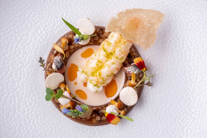 Kaisergranat auf Shii-Take-Sülze mit Austerncreme und rohen Champignons