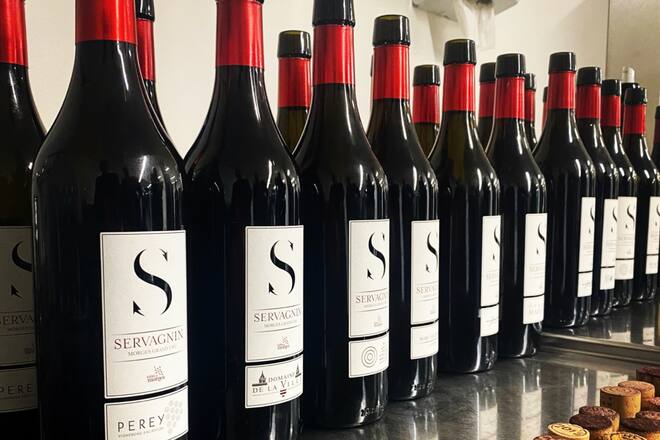 Servagnin largeur OK