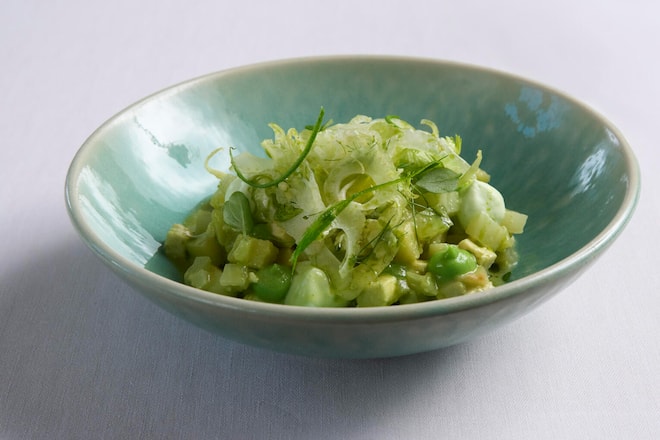 Tanja-Tofu! Ceviche mit Fenchel, Apfel & Pistazien.