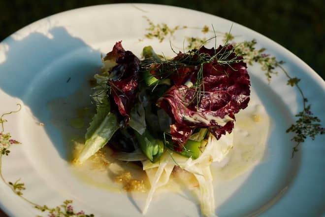 Benjamin und Rose Plsek, Waldhof Guldenen - Merlotsalat, gepickelter Kohlrabi, Kumquat, Hollunder, Koriander