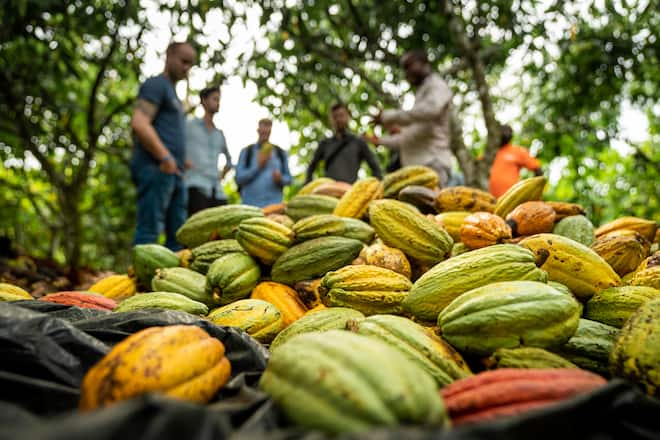 Tobias Funke Gasthaus zur Fernsicht Heiden Koa Ghana