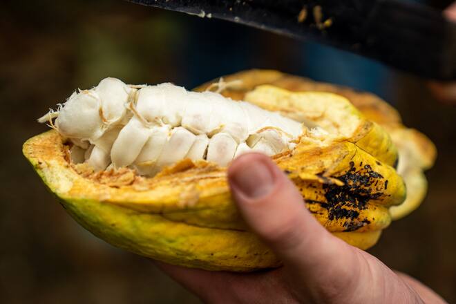 Tobias Funke Gasthaus zur Fernsicht Heiden Koa Ghana