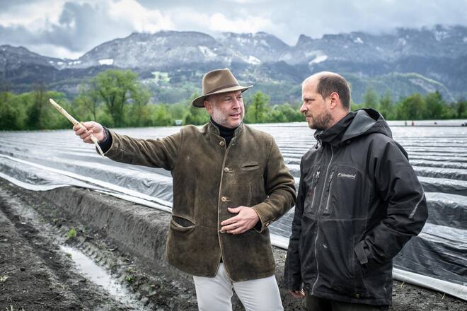 Schmitterhof, Diepoldsau