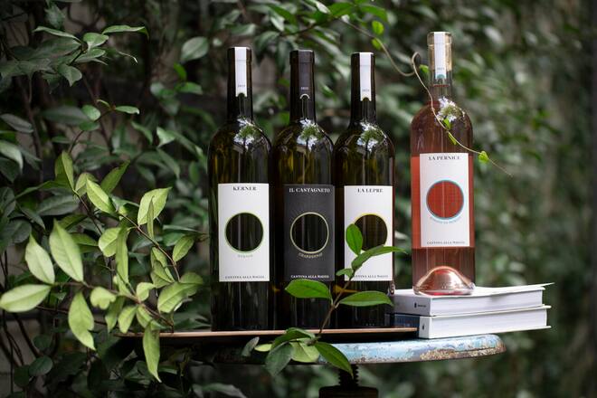 In Ascona entsteht eine neue Wein-Marke: Cantina alla Maggia. Das Tessiner Weingut mit landwirtschaftlichen Spezialitäten, Cantina alla Maggia, wurde 1930 gegründet. Heute gehört die Cantina alla Maggia zur Schweizer Hospitality- und Landwirtschaftsgruppe The Living Circle. Auf 96.5 Hektar werden zwischen Ascona, Locarno und der Magadino-Ebene mit Leidenschaft Wein, Getreide, Reis und Mais angebaut.