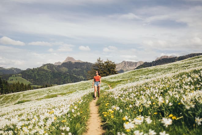 Auf dem Weg der Pleiaden und im Restaurant La Châ.