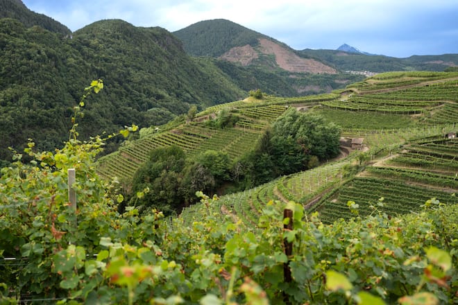 Beste Lagen für trentodoc Schaumweine im Cembratal