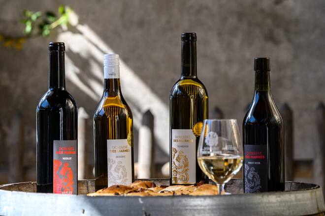 Constantine, 11 avril 2025. Reportage au Domaine des Marnes. Célia Cressier (t-shirt rose) a repris avec son mari Julien le domaine développé par son père Pierre Gentizon. Le Domaine des Marnes est situé dans l'appellation Vully, localisée entre les lacs de Neuchâtel et de Morat. ©François Wavre | Lundi13