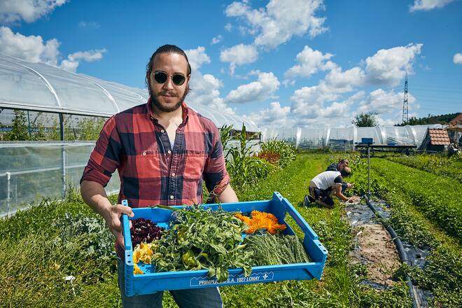 Koch Fabian Fuchs testet Bionär von Stefan Brunner