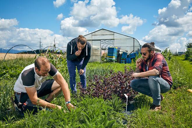 Koch Fabian Fuchs testet Bionär von Stefan Brunner